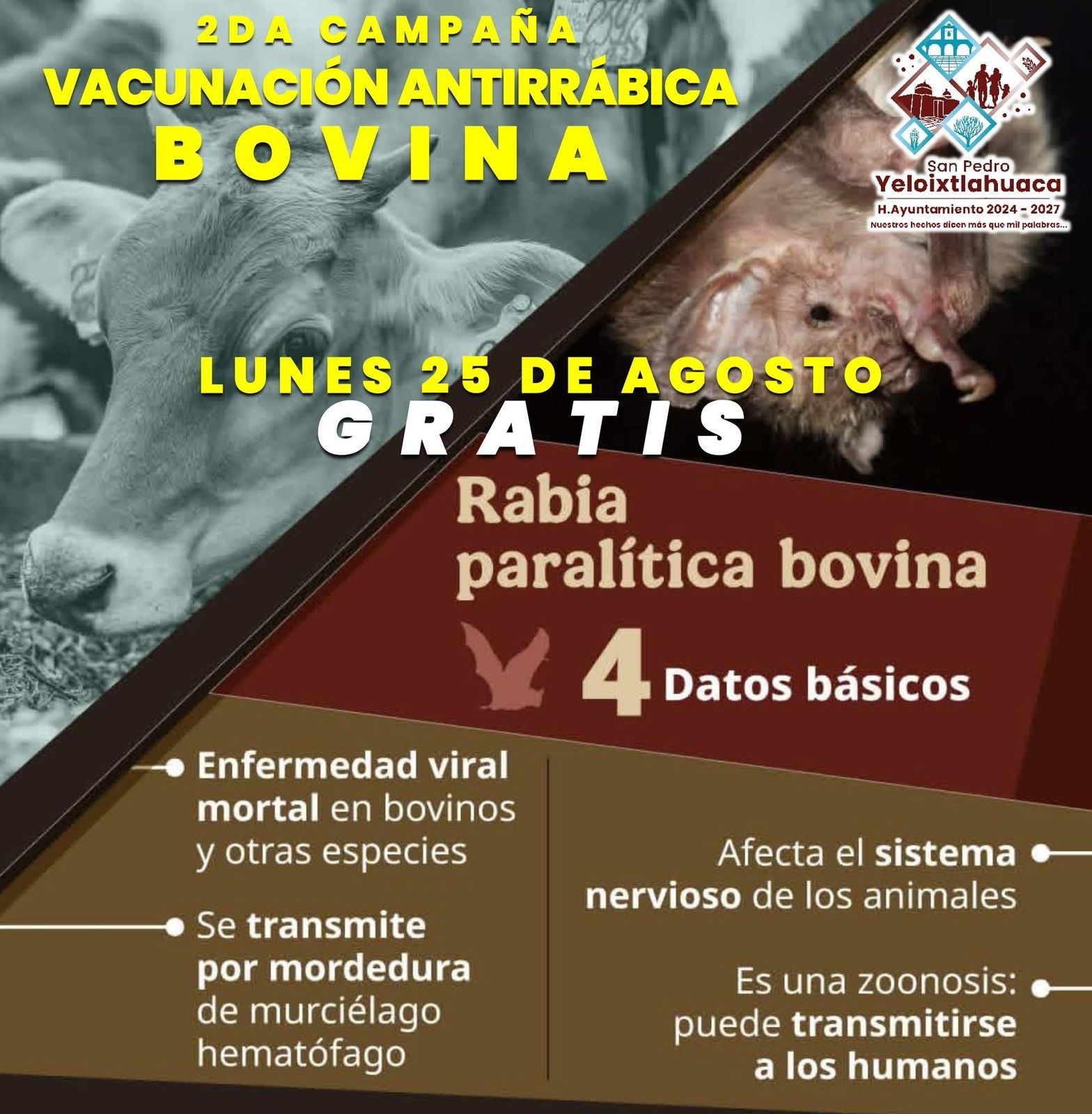 🌟 ¡Atención, Ganaderos Sanpedrenses! 🌟