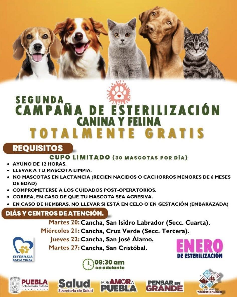 ¡SEGUNDA JORNADA DE ESTERILIZACIÓN CANINA Y FELINA! 🐶🐱