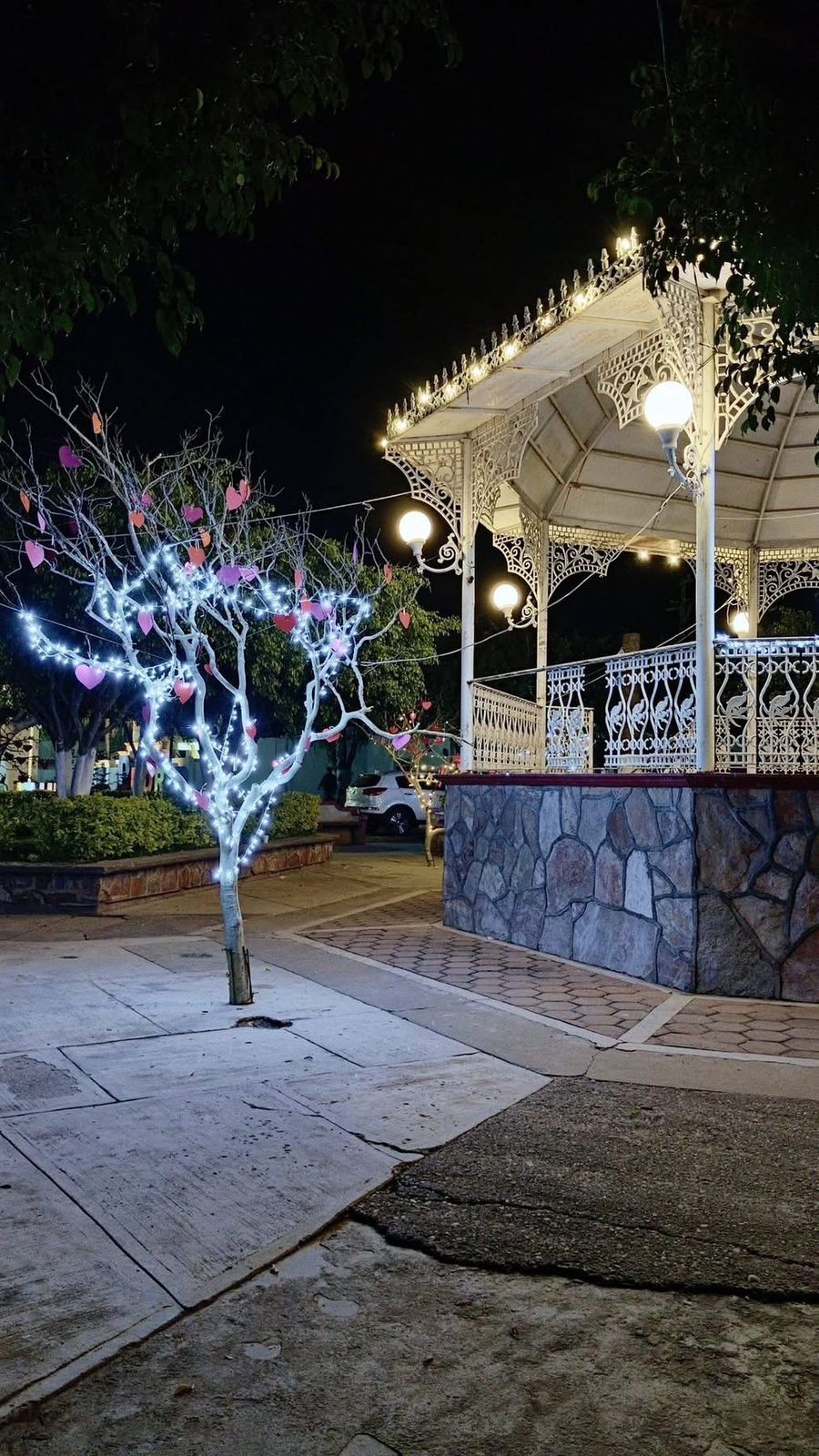 Así luce nuestro parque esta noche del 14 de febrero ✨🌙