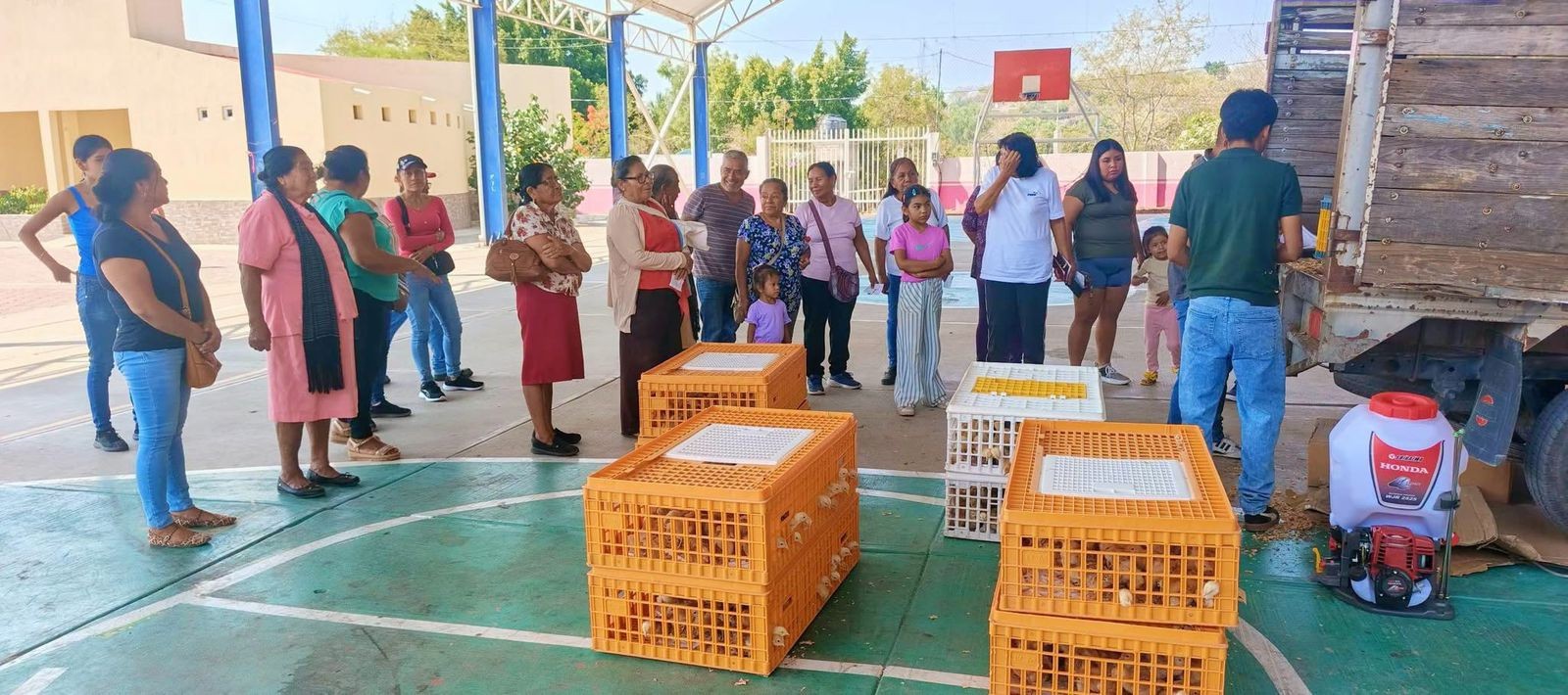 🐥🥚 Generando Bienestar para la Sociedad