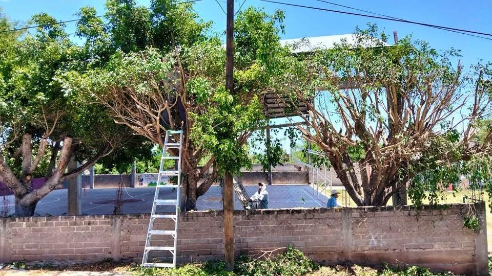 🌳🚜 ¡Seguimos trabajando por un municipio más seguro y en mejores condiciones! 💪